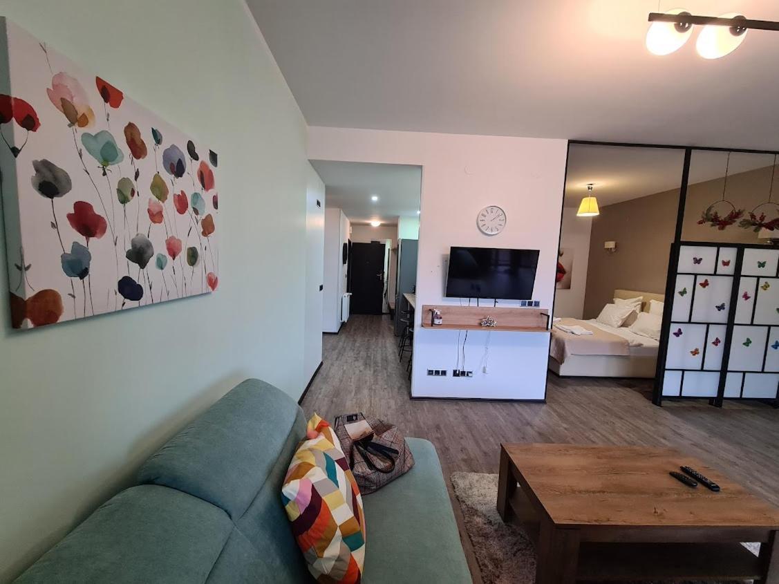 Fabulous Panorama Silver Mountain Apartments بويانا براسوف المظهر الخارجي الصورة