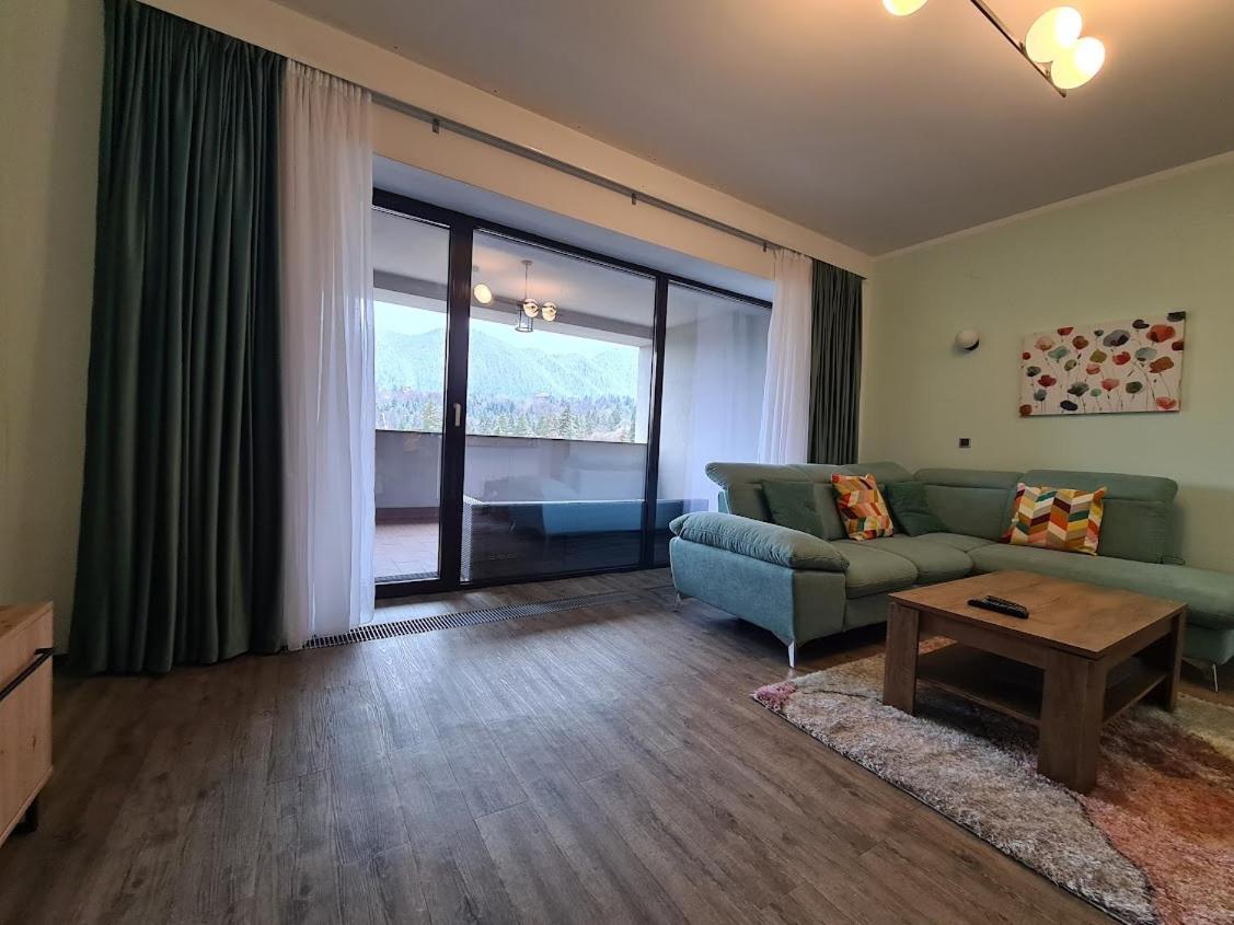 Fabulous Panorama Silver Mountain Apartments بويانا براسوف المظهر الخارجي الصورة